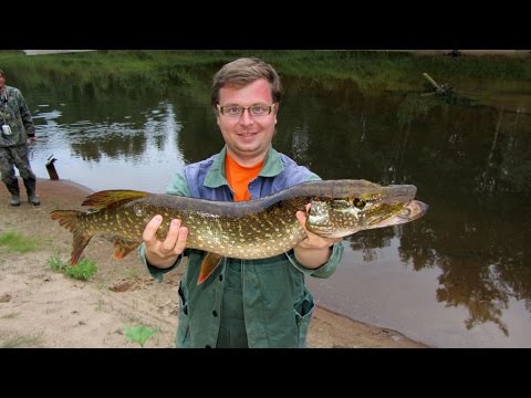 Видео: Большое Летнее Путешествие 2015. Сплав по р. Лупья