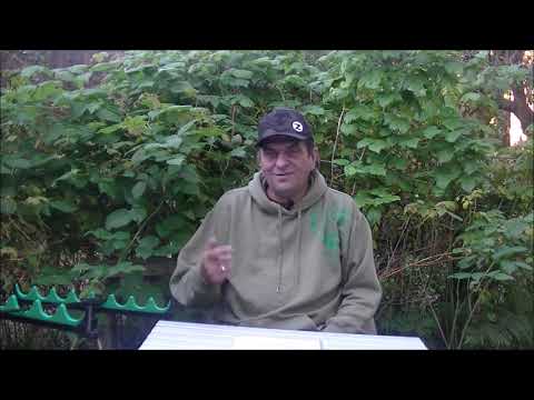 Видео: Спиннинги ZEMEX серия EXTRA S в стиле Rock Fish. Даст форы многим более дорогим собратьям.