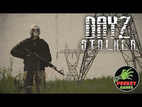 Видео: 🛑 DayZ Stalker PVE "Муха" (Сервер: Moonrock)