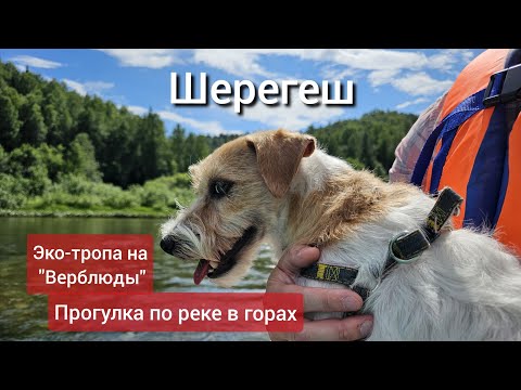 Видео: Шерегеш летом: пешком до Верблюдов, экскурсия на лодке по реке Мрассу к скалам