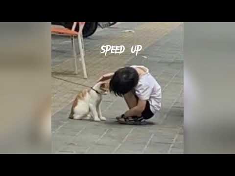 Видео: Дайте танк(!) - Крепость [speed up]