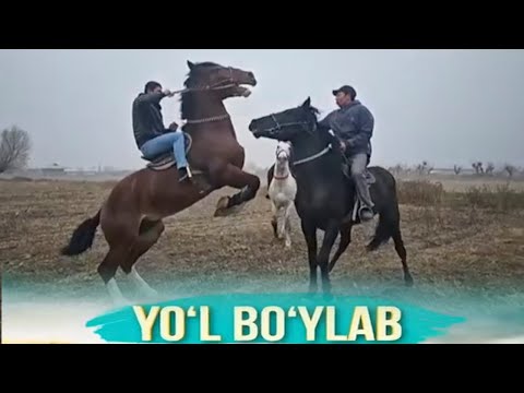 Видео: Пайариқ тумани томон йўл бўйлаб | Yo'l bo'ylab