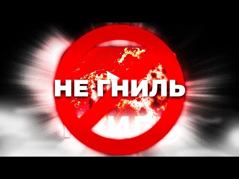 Видео: ютуб не загнивает