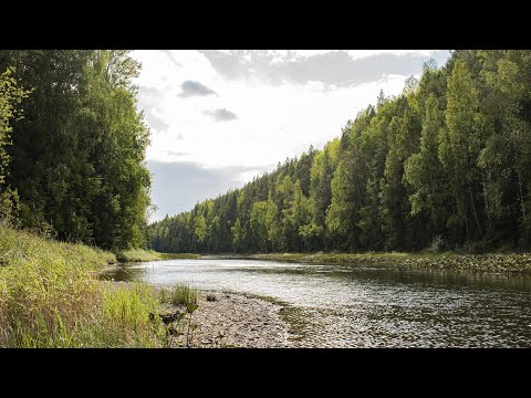 Видео: Река СЕРЕБРЯНАЯ: Выше и ниже...