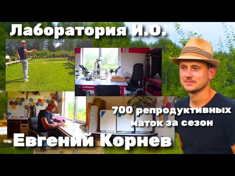 Видео: Едем в гости к Евгению Корневу