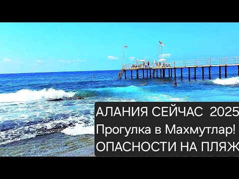 Видео: АЛАНИЯ СЕЙЧАС!!/⛱️🌊Дорога✈️/Прогулка в МАХМУТЛАР/ОБЗОР КВАРТИРЫ 1+1!🏡/Опасности на ПЛЯЖЕ!!🌊🌊