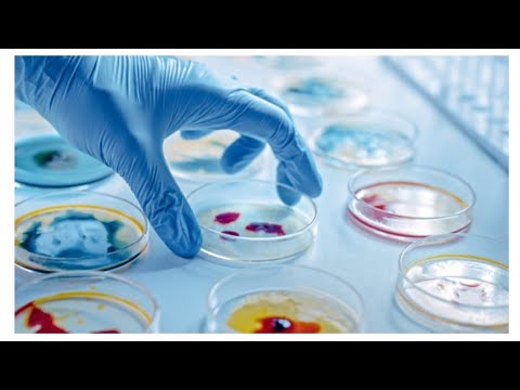 Видео: Дела, анализы, ЭКГ. 📃📌