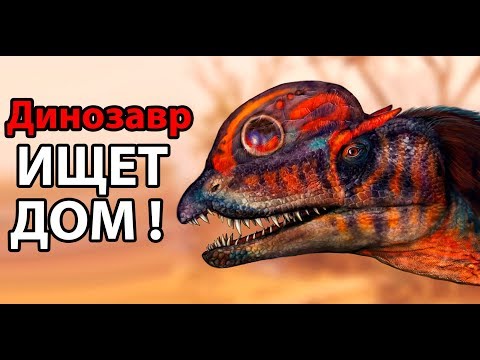 Видео: Динозавр ищет ДОМ ! ( The Isle )