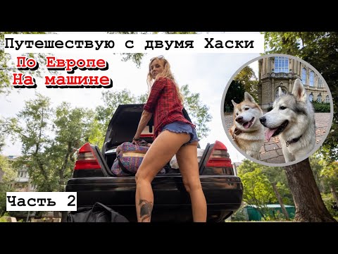 Видео: Живу в центре Будапешта с двумя Хаски 🐕🐕 Часть 2. Дорогая парковка и реки мочи 😱