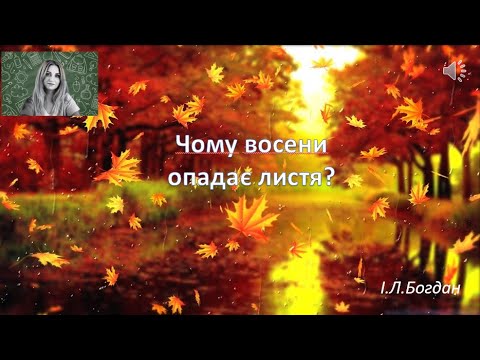 Видео: Чому опадає листя. 3 кл.