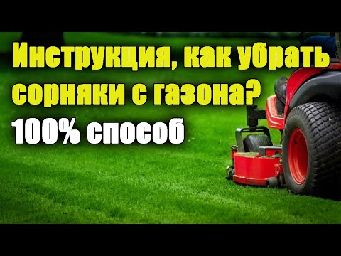 Видео: Как удалить СОРНЯКИ на газоне? Когда и чем  обработать? ПОДРОБНАЯ ИНСТРУКЦИЯ. Одуванчики на газоне.