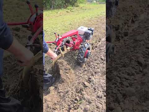 Видео: Работа мотоблока МТЗ Беларус 09Н на пересохшей почве после свеклы.