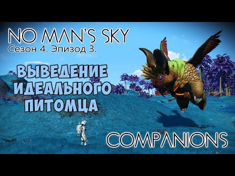 Видео: No Man's Sky: Companions. Сезон 4. Эпизод 3. Идеальный питомец.