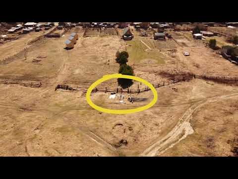 Видео: #Вода_прибывает, #Отшельник_переехал. #Уровень_реки_Тары в #деревне_Окунево_26_апреля.