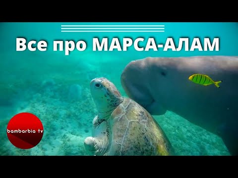 Видео: Египет: Марса-Алам. Полезная информация: отели, преимущества курорта, экскурсии