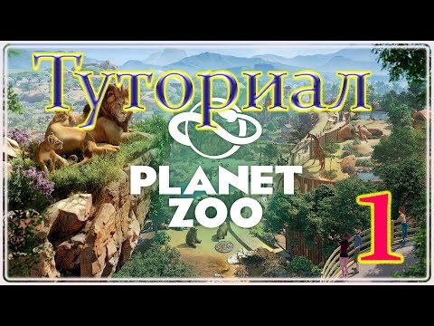 Видео: Planet Zoo ✦ Туториал Франшиза - С чего начать №1