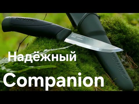 Видео: Надёжный Companion