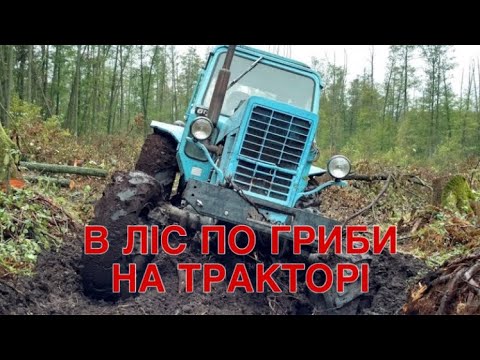 Видео: В ліс по гриби на тракторі