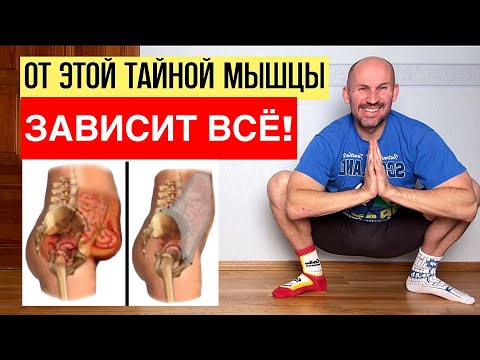 Видео: От ЭТОЙ мышцы зависит ВСЁ! Недержание мочи, выпирающий живот и боль в пояснице!