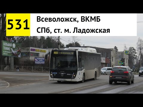 Видео: Автобус 531 "Всеволожск, ВКМБ - СПб, ст. м. "Ладожская"