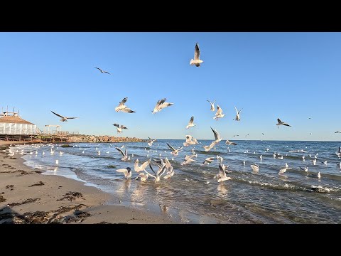 Видео: Прогулка по берегу Чёрного моря с.Равда, Болгария /Ravda, Bulgaria