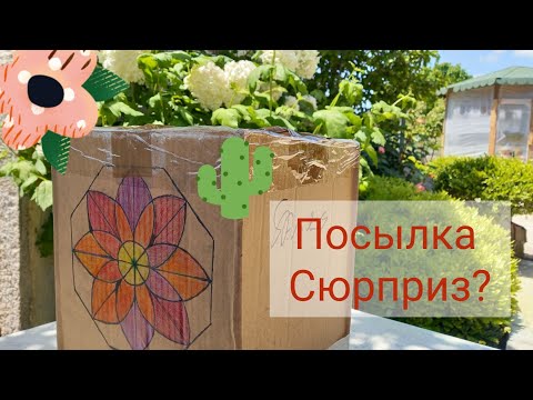 Видео: Посылка-Сюрприз😍#посылка