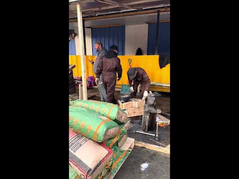 Видео: Зарисовки с выставки Клинок -2025