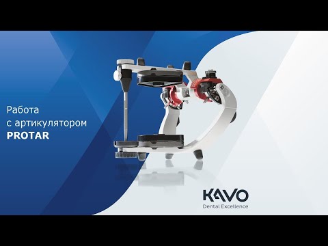 Видео: Работа с артикулятором KaVo PROTAR