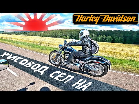 Видео: Первые впечатления Harley-Davidson Softail Deuce 2003. #harley #cruiservibe