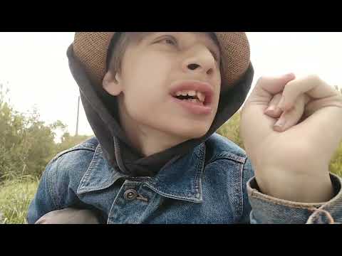 Видео: Михаил Гребенщиков-Танцы Обниманцы Пародия (Фабрика звёзд -1)