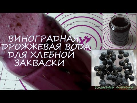 Видео: ВИНОГРАДНАЯ дрожжевая ВОДА для хлебной закваски//основа для итальянской ЛЕВИТО МАДРЕ