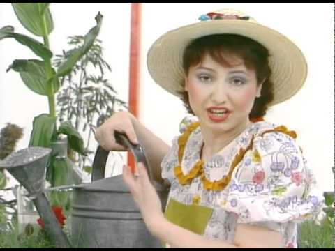 Видео: Бушава азбука - Ч