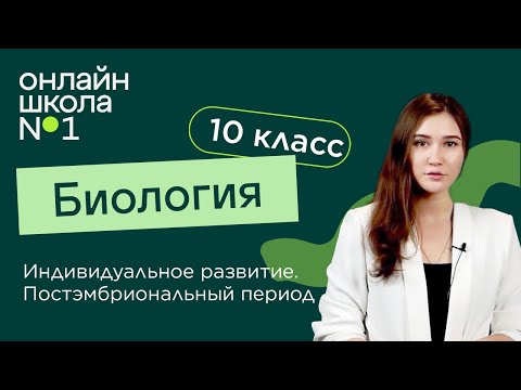 Видео: Индивидуальное развитие. Постэмбриональный период. Биология 10 класс. Видеоурок 25