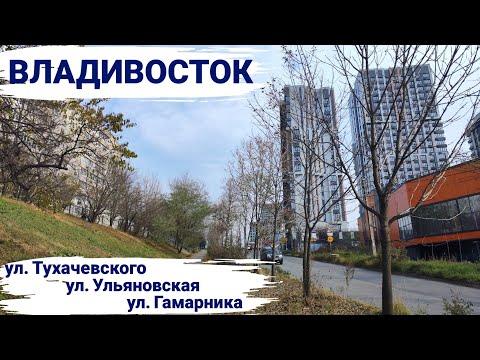 Видео: Владивосток ноябрь 2025