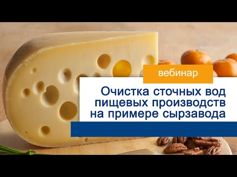 Видео: Очистка сточных вод пищевых производств на примере сырзавода
