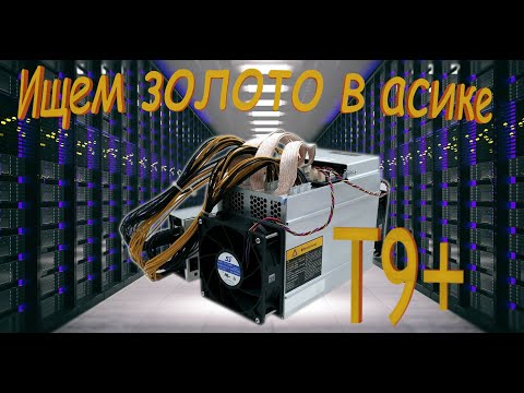 Видео: Ищем Золото в Асик Майнере T9+