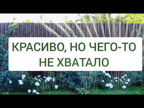 Видео: КРАСИВО, НО ЧЕГО-ТО НЕ ХВАТАЛО...25.08.2024г. БЕЛАРУСЬ, ГОМЕЛЬСКАЯ ОБЛАСТЬ