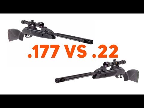 Видео: Gamo Swarm MAXXIM .177 против Gamo Swarm MAXXIM .22 — сравнение бок о бок