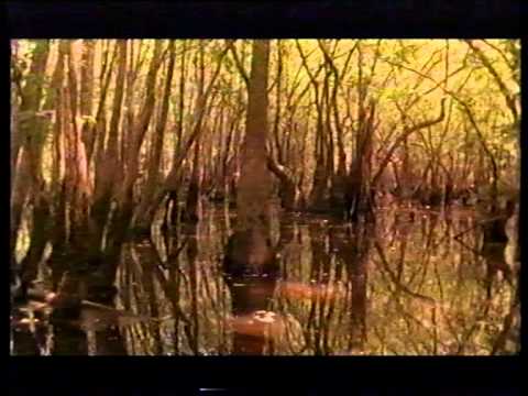 Видео: Рекламные ролики с VHS кассет  (Концерн Видеосервис) (1)