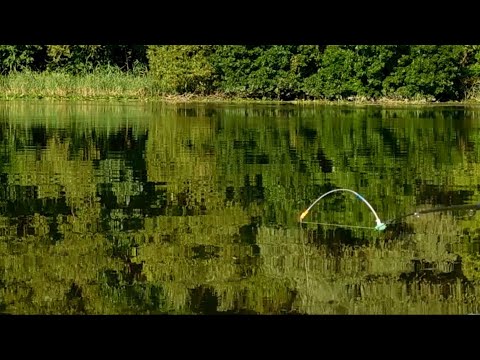 Видео: 🇺🇦Ловля карася на перловку и РВАНОГО ЧЕРВЯ на боковой кивок с летней мормышкой