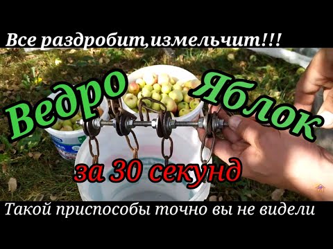 Видео: Придумал Дробилку для Яблок. Результат Меня Порадовал!!! Делаю Сидр.