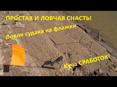 Видео: Ловля судака на ФЛАЖКИ. ПРОСТАЯ И УЛОВИСТАЯ СНАСТЬ! Рыбалка в Казахстане.