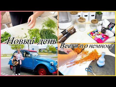 Видео: Мотивация на дела в доме Как сохранить зелень свежей Новые покупки 🛍️ 