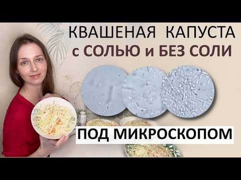 Видео: Микрофлора квашеной капусты. Микроорганизмы любят соль ? Добавлять ли закваску ?