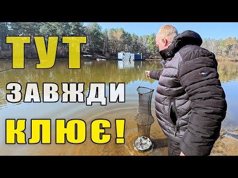 Видео: ТУТ ЗАВЖДИ КЛЮЄ! Фідерна рибалка в Києві. Березень 2025.