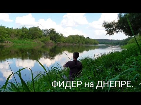 Видео: ОТЛИЧНАЯ РЫБАЛКА на ДНЕПРЕ, на ФИДЕР!!!