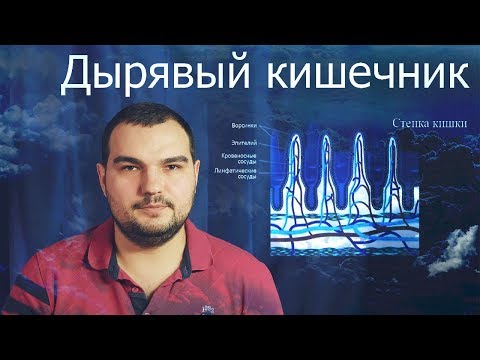 Видео: ДЫРЯВЫЙ КИШЕЧНИК КАК ИСТОЧНИК ВСЕХ ПРОБЛЕМ #PSORIK