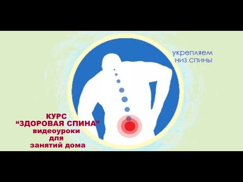 Видео: Видеоурок "Здоровая спина" - Укрепляем низ спины