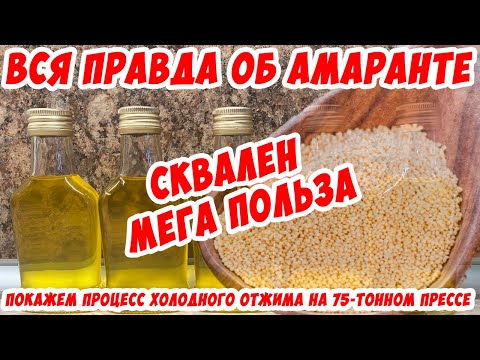 Видео: Вся правда об амаранте. Сквален - супер польза. Показываем холодный отжим масла из семян амаранта.