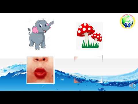 Видео: Хэл ярианы хичээл бэлтгэл хичээл №1